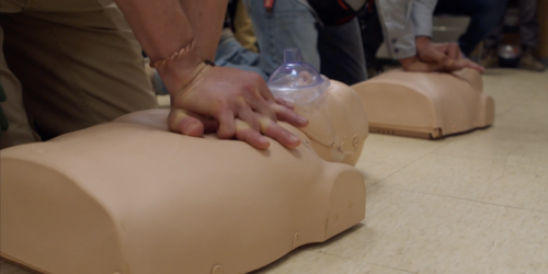 How Often Should Employees Be CPR Certified?